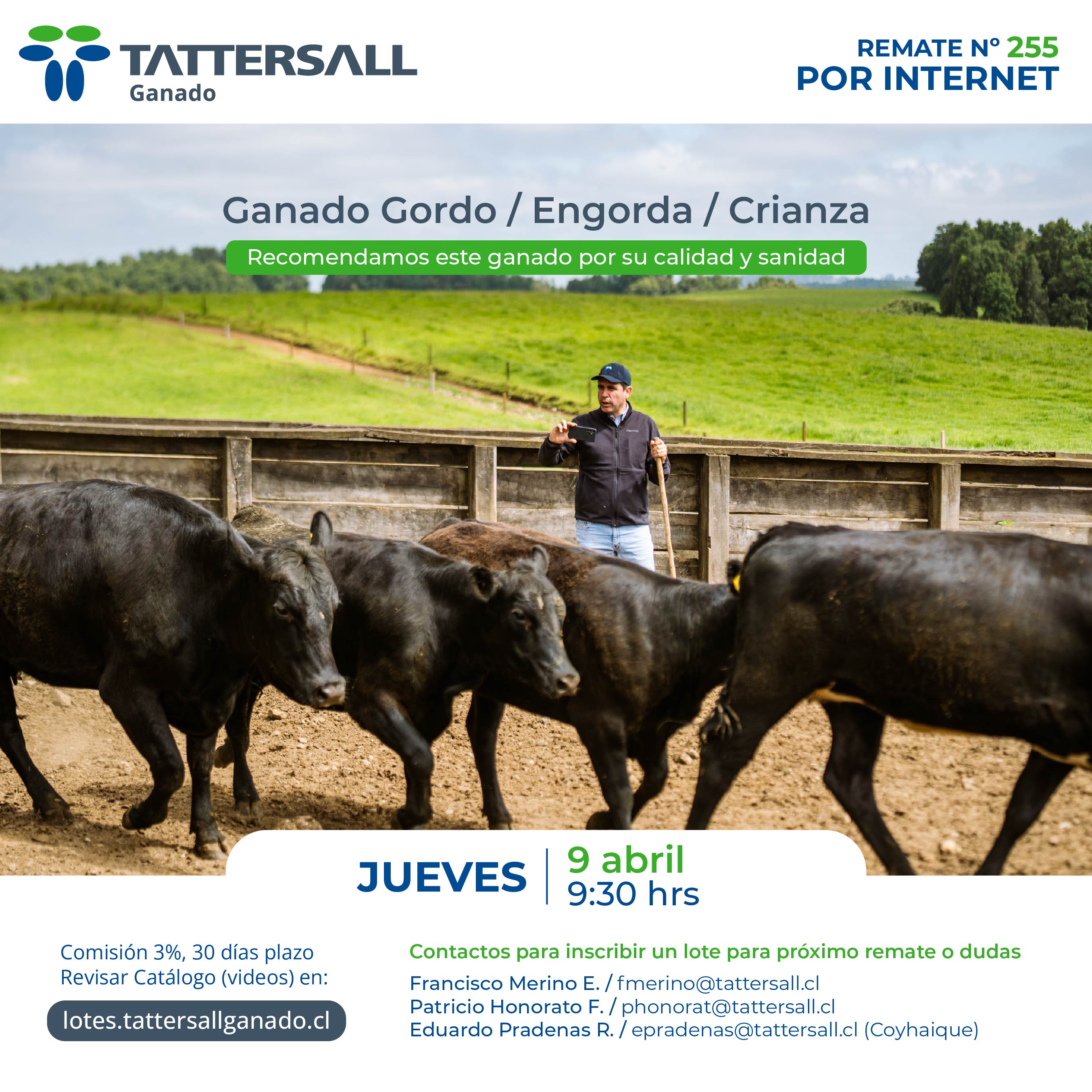 Afiche